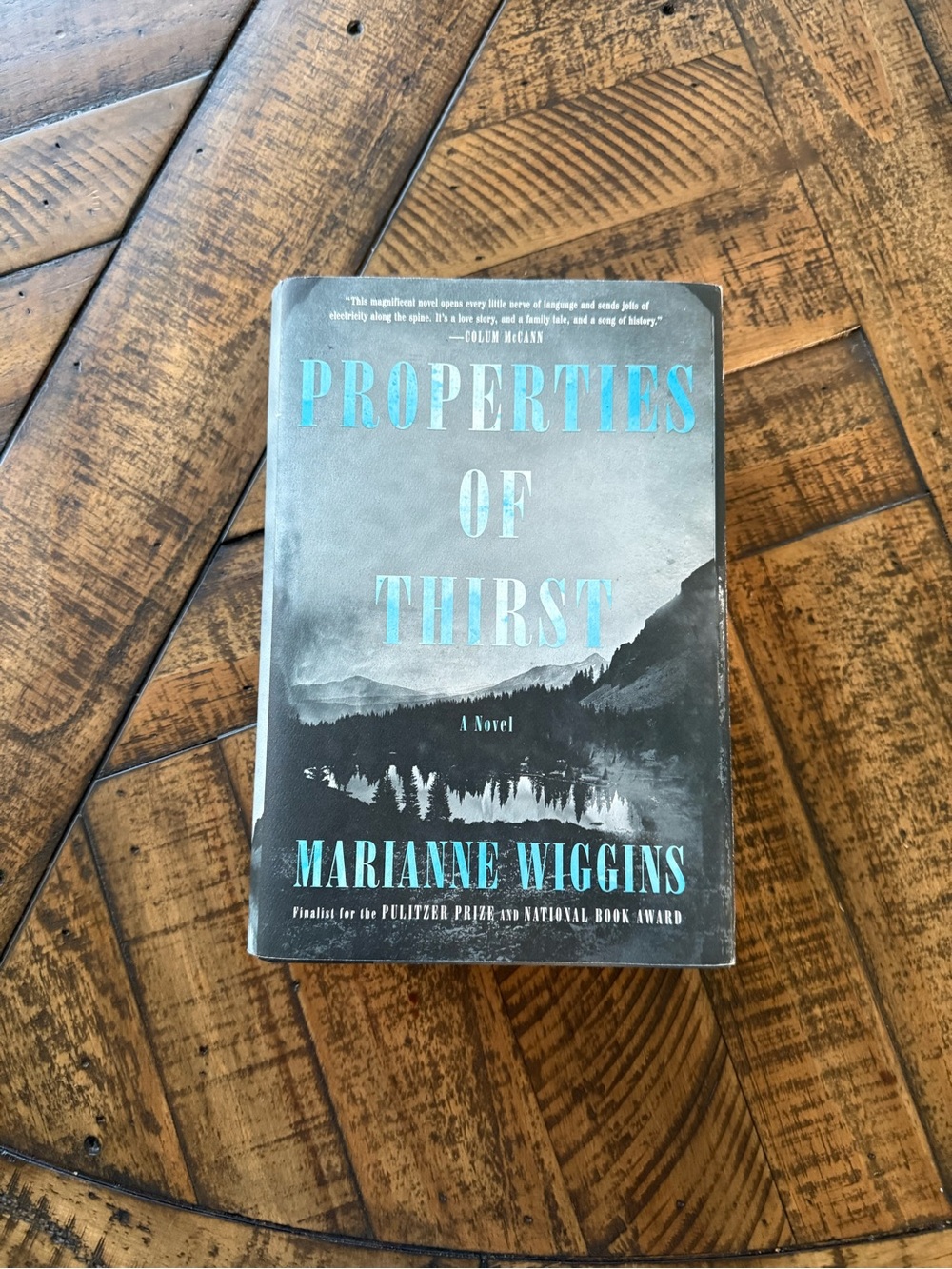 Property of Thirst Book by Marianne Wiggins